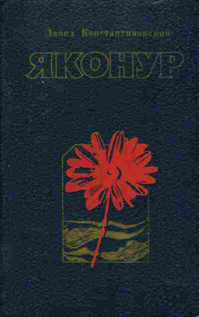 Книга Давид Константиновский Яконур, 11-806, Баград.рф
